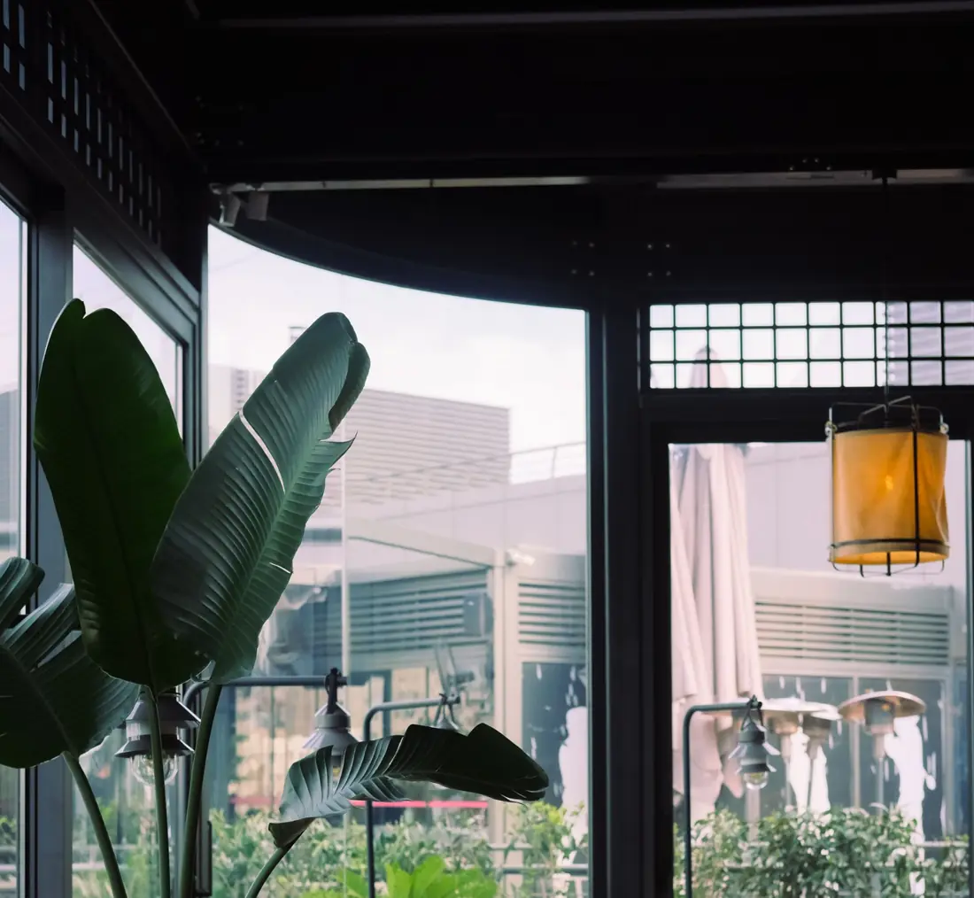 La terrasse